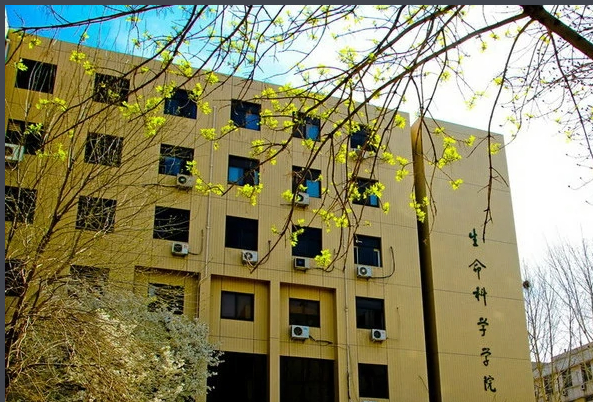 （2006年）山东大学生命科学院实验楼  